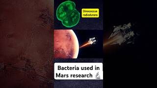 Bacteria with Guiness Record😱🤯🤯 [upl. by Saxet]