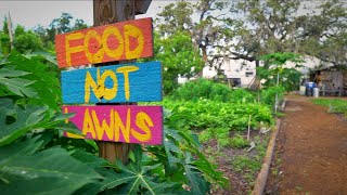 Tour This 14 Acre Urban Food Forest amp Community Garden St Pete EcoVillage [upl. by Alihs]