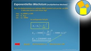 Exponentielles Wachsen und Abnehmen  Rueff [upl. by Yrdnal94]