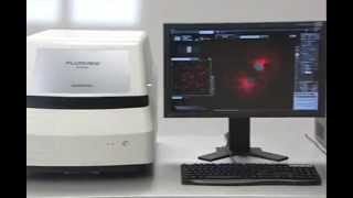 FV10i Confocal Laser Scanning Microscope [upl. by Gun]