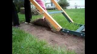 How to Use a Sod Cutter How to cut sod for landscaping gardening cement Edge sidewalks [upl. by Nunnery]