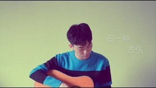 ALin 有一種悲傷 cover by Rice Ng 電影《比悲傷更悲傷的故事》主題曲 [upl. by Champaigne87]