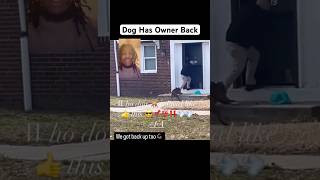 Dog didn’t Agree with the arrest shorts police dog [upl. by Bradstreet651]