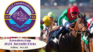 Breeders Cup 2024 Friday Top Picks at Del Mar Future Stars Friday 2024breederscup [upl. by Zebulen743]