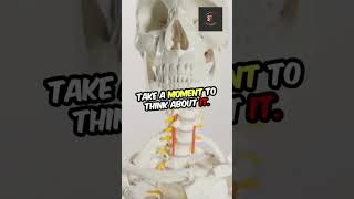 Weekend video is here asthma doctorofphysicaltherapy sfpts anatomy anatomyquiz doctor MD [upl. by Alaecim275]