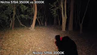 Tint Comparison  Nichia 519A 3500K vs 3000K in dark forest เปรียบเทียบแสง 3500k กับ 3000K ในป่า [upl. by Phemia577]