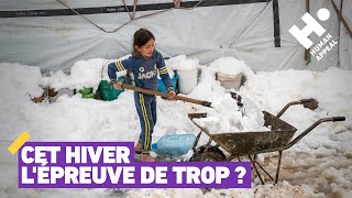 Cet hiver sauvezles du froid meurtrier  Human Appeal France [upl. by Teufert]