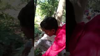 Parasnath pahad chadhte samay bandar ka darshanyoutube parasnath viralvideo [upl. by Llednyl]