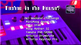 Techno in the House HWJ Challenge Moog Model D DFAM Mother 32 Yamaha PSRSX900 amp Arturia DB [upl. by Sommers229]