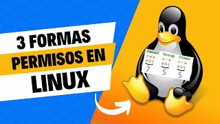 Dar permisos a los archivos directorios y subdirectorios en Linux Ubuntu y Debian [upl. by Noiram511]