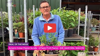 How To Create A Long Term Autumn Planting Display For Your Garden or Patio [upl. by Casia]