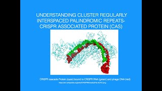 Understanding CRISPER Cas Cluster Regularly Interspaced Short Palindromic Repeats CRISPR associate [upl. by Peltier539]