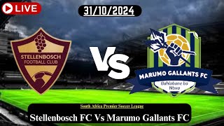 Stellenbosch FC Vs Marumo Gallants FC Live Football Match Score Today HD 31OCT24southafrica [upl. by Job]