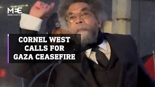 Cornel West calls for an immediate ceasefire in Gaza [upl. by Ykcir]