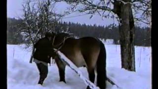 Bonden Sven Jansson plogar snö med Prinsen 19940205 [upl. by Canon462]