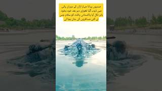 How to Pakistan Air Force zindabadyoutubeshortsshortsfeed viralvideotrendingshort militaryduet [upl. by Ellehsat427]