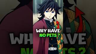 The Real Reason Why Giyu Tomioka Dont Have Pets Demon Slayer Explained shorts demonslayer hindi [upl. by Adnerad]