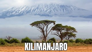 Kilimanjaro Conquer the Roof of Africa [upl. by Celinda]