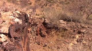 Mine Report 2 Wickenburg  Many Lessons Learned [upl. by Eniahs521]