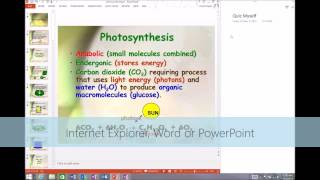 quot2minutequot Tip  How students can use OneNote to Quiz Themselves [upl. by Dolly]