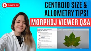 Answering Viewer Questions Centroid Size Scaling Allometry and Distance Matrix in MorphoJ [upl. by Auqenwahs]