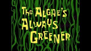 The Algaes Always Greener Soundtrack [upl. by Hayse526]