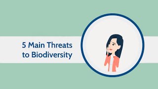 5 Main Threats to Biodiversity [upl. by Alioz]