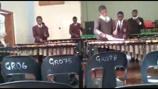 Mt Pleasant School Marimba Band 2015Nhemamusasa [upl. by Nanek51]