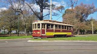 Heritage Week Ballarat tram [upl. by Linsk]