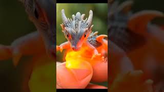 cute little dragon spitting fire 😂 [upl. by Ecaj]