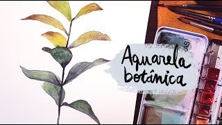 DESENHA E FALA 24  Aquarela Botânica [upl. by Nilreb]