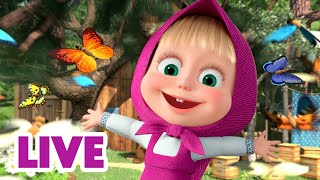 🔴 EN VIVO Masha y el Oso Castellano 😁 La felicidad es la clave del éxito 🔑 Masha and the Bear [upl. by Josephine211]