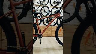 Giant Fathom 29 hardtail test mtb fyp shorts downhill reels enduro [upl. by Callida]