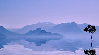 20 minutes of serene meditation music [upl. by Koch537]