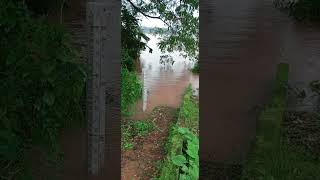 bantwal flood2 [upl. by Malo]