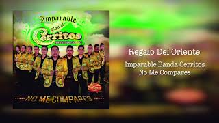 Imparable Banda Cerritos – Regalo del Oriente 2016 [upl. by Polard747]