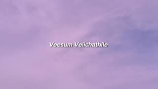 Veesum Velichathile sped up [upl. by Honeyman]