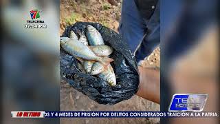 Fenómeno único en Honduras ¡Lluvia de peces en el departamento de Yoro [upl. by Elise]