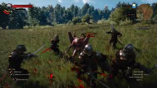 The Witcher 3 Eternal Hunt Mod Play as Dettlaff [upl. by Roswell]