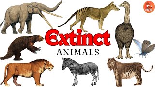 Top 70 Extinct Animals Names in English for kids kidslearning animals reptiles [upl. by Krisha702]