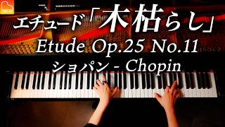 【感謝！150万人】ショパン「木枯らし」エチュード  Chopin  Etude Op25 No11 “Winter Wind” CANACANA [upl. by Eanil]