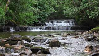 Nature Sounds Forest WaterfallCalming Water Sound for SleepingRelaxing Birds Chirping Meditation [upl. by Ardnasirk]