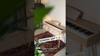 Quick overview of the Sonora SDP1 digital piano 🎶 digitalpiano piano playpiano overview [upl. by Inman]