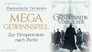 Wir bringen dich zur Weltpremiere von Grindelwalds Verbrechen [upl. by Kamila176]