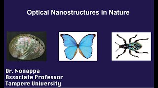 Optical Nanostructures in Nature by Prof Nonappa [upl. by Danelle]