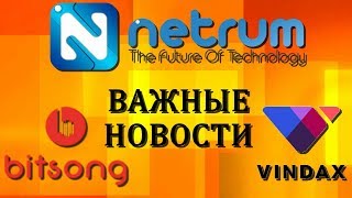 Важные Новости Netrum BitSong VinDAX Криптовалюта без вложений [upl. by Mikol]