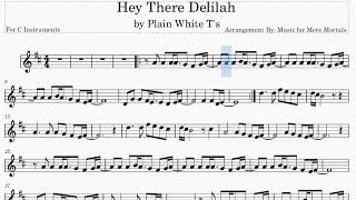 Hey There Delilah  by Plain White Ts  Play Along for C Instruments [upl. by Sybila301]