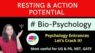 Resting amp Action Potential BioPsychology Psychology Entrances Mind Review [upl. by Sidnak]