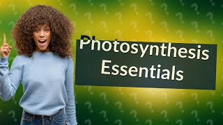 What are the 4 requirements for photosynthesis [upl. by Amber]