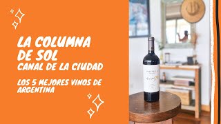 Los 5️⃣ mejores vinos de Argentina⁠ [upl. by Ojillib]